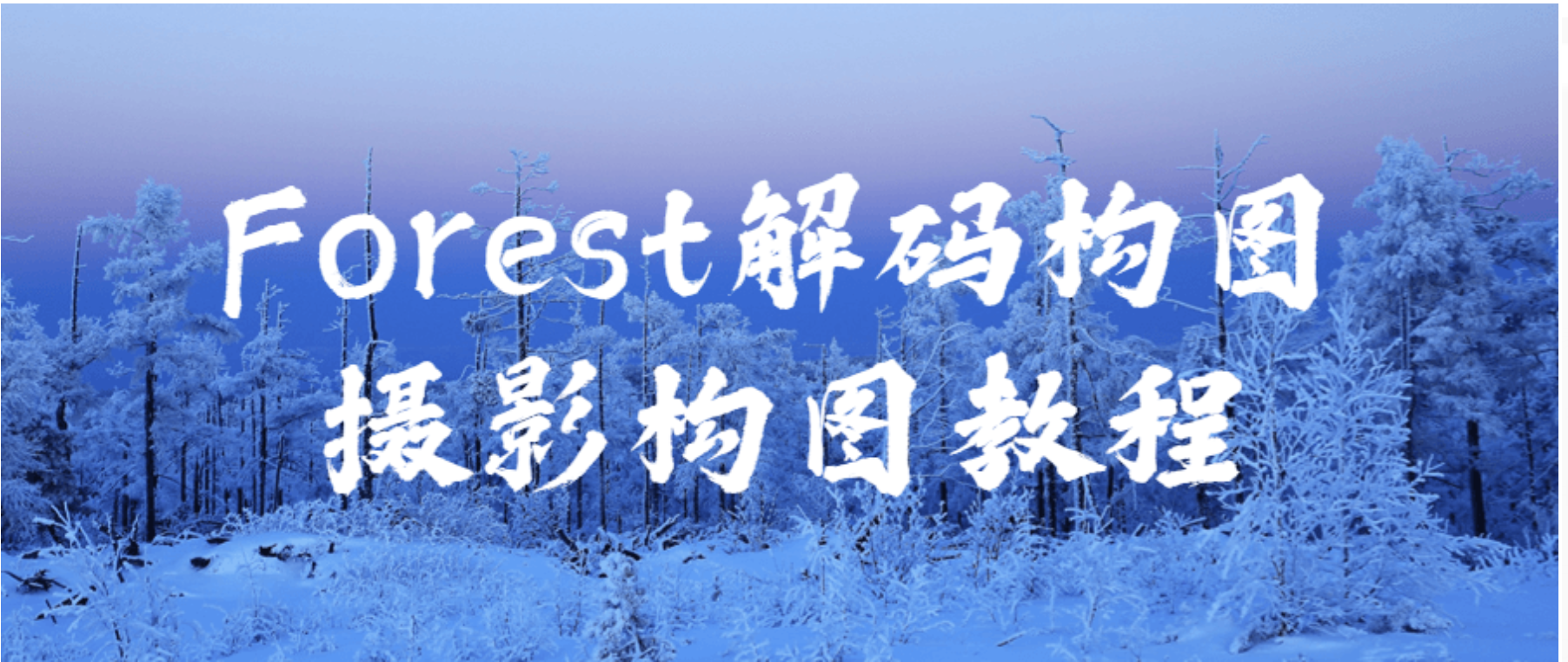 Forest解码构图摄影构图教程